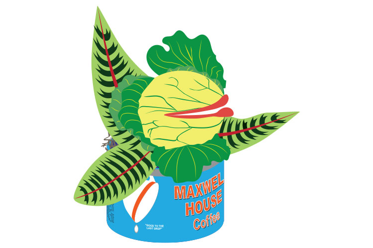 Audrey II plant when small