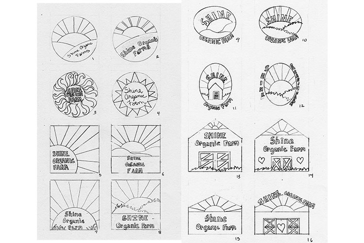 Shine Organic Farms thumbnail sketches
